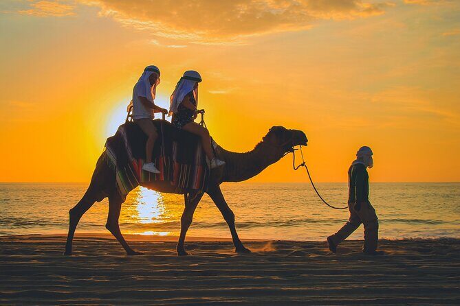 Camel Ride Experience in Los Cabos with Pick up and Lunch - Who Will Enjoy This Tour?