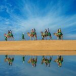Camel Ride On The Beach at Los Cabos - How Does It Value Out?