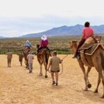 Camel Safari - Camel Ride and Zoo Tour - Who Should Consider This Tour?