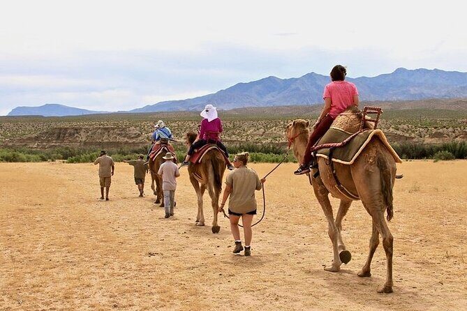 Camel Safari - Camel Ride and Zoo Tour - Who Should Consider This Tour?