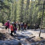 Cameron Falls Hiking Tour - Pricing and Value
