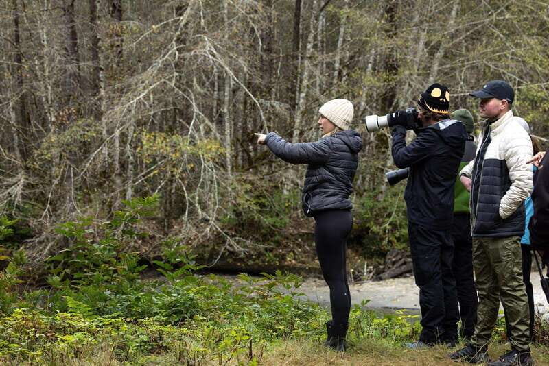 Campbell River: Bute Inlet Grizzly-Watching Tour & Boat Ride - The Value & Who Should Consider This Tour
