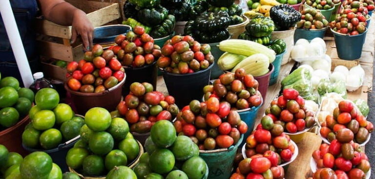 Campeche: Gastronomic Route through the city Market - The Practical Stuff: How It Works