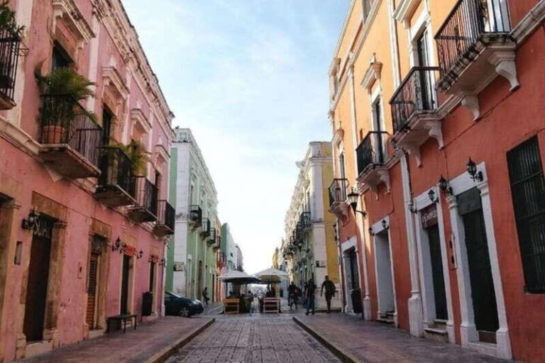 Campeche: Historic City Center Guided Walking Tour - Is It Worth the Price?
