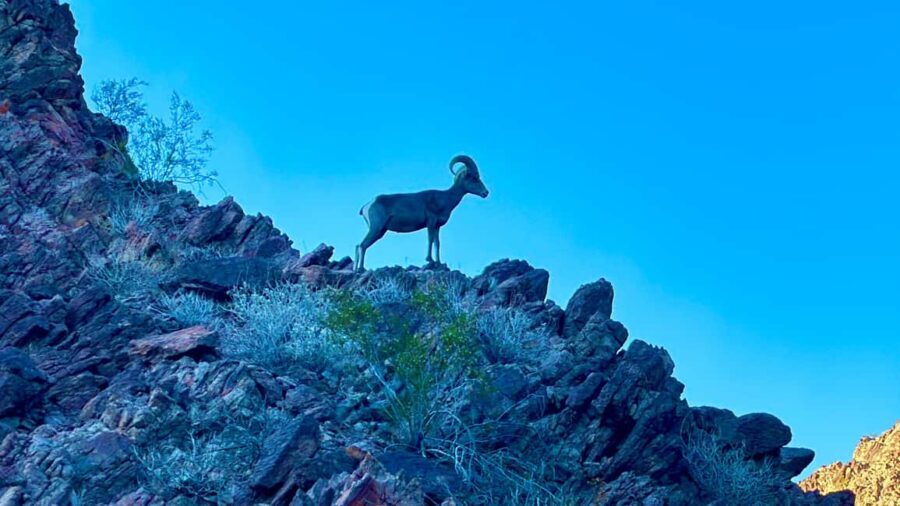 Camping Las Vegas Trip from Base of Hoover Dam, Black Canyon - Real Traveler Feedback