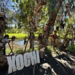 Canals Boat Tour + Doll Island + Ajolote Shrine - Practical Details