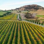 Canberra: Private Wine Discovery Tour with Lunch - Who Is This Tour Best For?