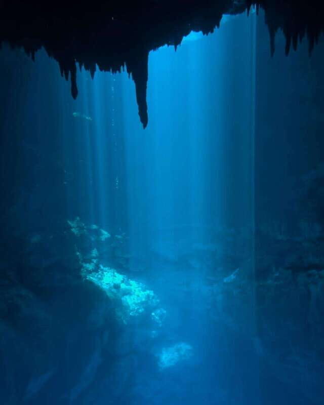 Cancun 2 Cenote Dives: The Pit & Dos Ojos - Certified Divers - The Dives Themselves: What Makes Them Special?