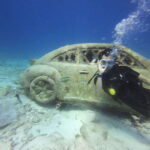 Cancun: 2-Tank Dive for Beginners with MUSA and Reef Dive - Diving into the Details: How This Tour Fits Your Vacation