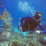 Cancun: 3 Days SDI Open Water Diver Certification - What’s Included and What You’ll Need to Consider