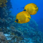 Cancun: 52-Foot Yacht Rental - What’s Not Included and What to Budget For