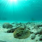 Cancun Best Deal 3x1: Snorkeling, Zip Lines & Rappel - A Deep Dive into the Experience