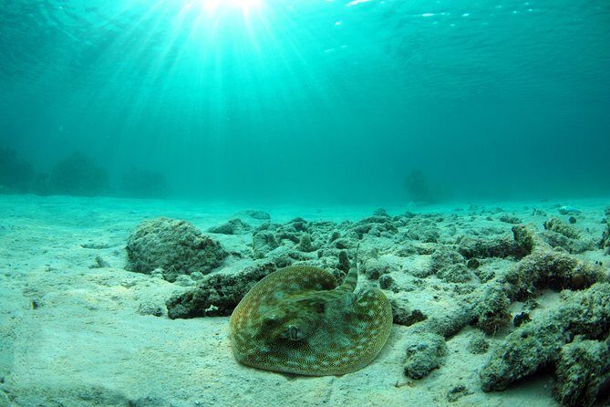 Cancun Best Deal 3x1: Snorkeling, Zip Lines & Rappel - A Deep Dive into the Experience