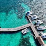 Cancun Catamaran: Isla Mujeres, Snorkeling, Drinks & Buffet Lunch - Visiting Isla Mujeres and Playa Norte