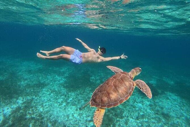 Cancun Catamaran: Sail to Isla Mujeres + Buffet & Drinks - Who Will Love This Tour?