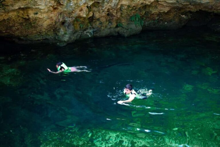 Cancun: Cenotes El Retoño entrance only - The Itinerary Breakdown