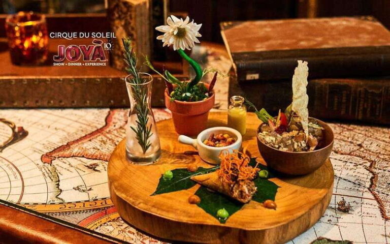 Cancún: Cirque du Soleil JOYÀ Entry Ticket and Transfer - What Travelers Say: Honest Feedback