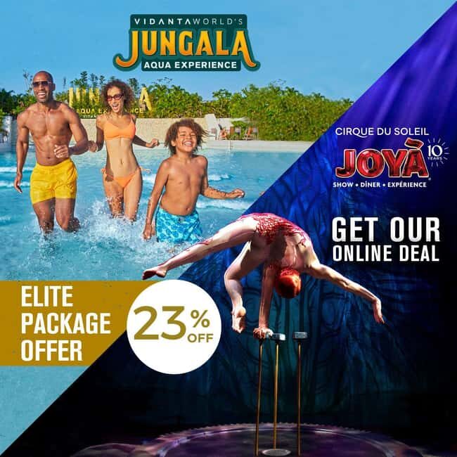 Cancún: Cirque du Soleil JOYÀ Ticket - The Value of Your Ticket