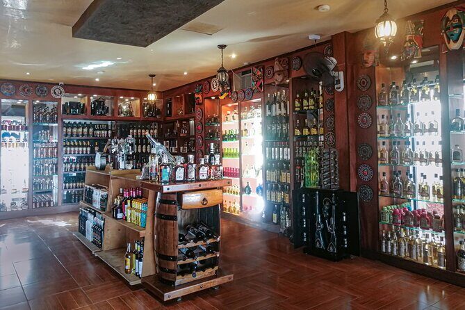 Cancun City Adventure! Private Half Day Tour - What Makes This Tour Stand Out