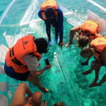 Cancún: Clear Boat Ride with drinks - The Marine Life and Scenery