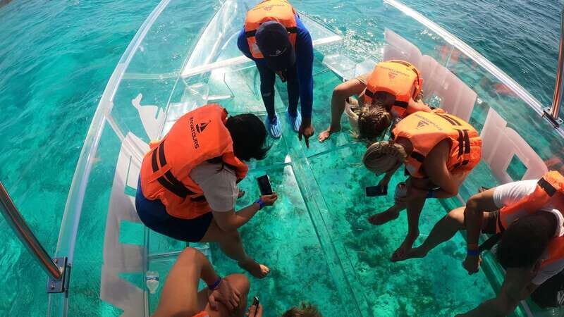 Cancún: Clear Boat Ride with drinks - The Marine Life and Scenery