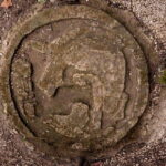 Cancun/Costa Mujeres: Private Tour to Coba in the Morning - Navigating the Cost and Value