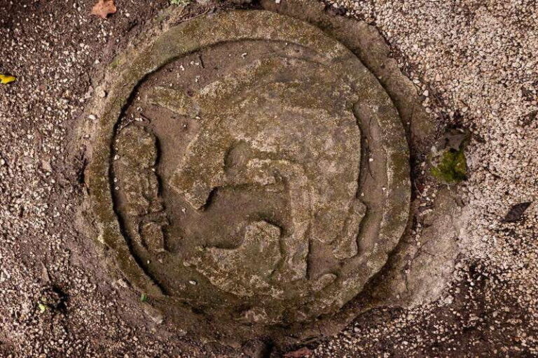 Cancun/Costa Mujeres: Private Tour to Coba in the Morning - Navigating the Cost and Value