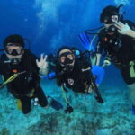 Cancún: Cozumel 2-Tank Diving Tour with Lunch & Transfers - The Experience: Pros and Cons