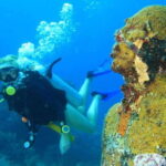 Cancun: Dive Underwater Museum & Manchones Reef - Final Thoughts