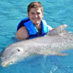 Cancún: Dolphin Encounter on Isla Mujeres with Buffet - How the Tour Unfolds