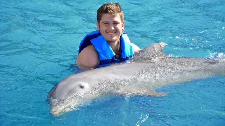 Cancún: Dolphin Encounter on Isla Mujeres with Buffet - How the Tour Unfolds