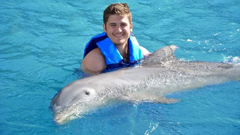 Cancún: Dolphin Encounter on Isla Mujeres with Buffet - How the Tour Unfolds