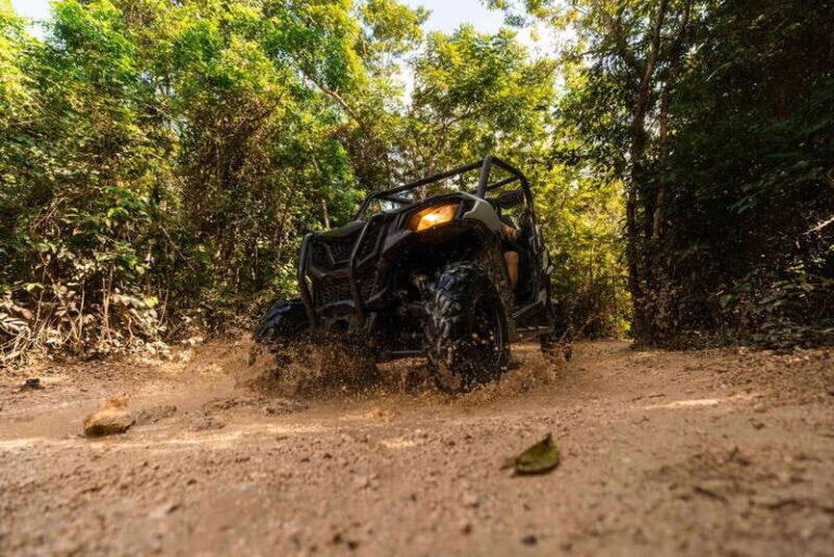 Cancún: Extreme Buggy Adventure with Ziplines & Cenote - The Value of the Tour