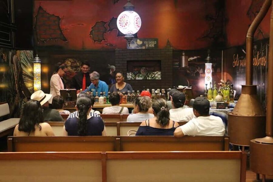 Cancun Guided Sightseeing SkyWheel, Letters and Shopping - Who Would Enjoy This Tour?