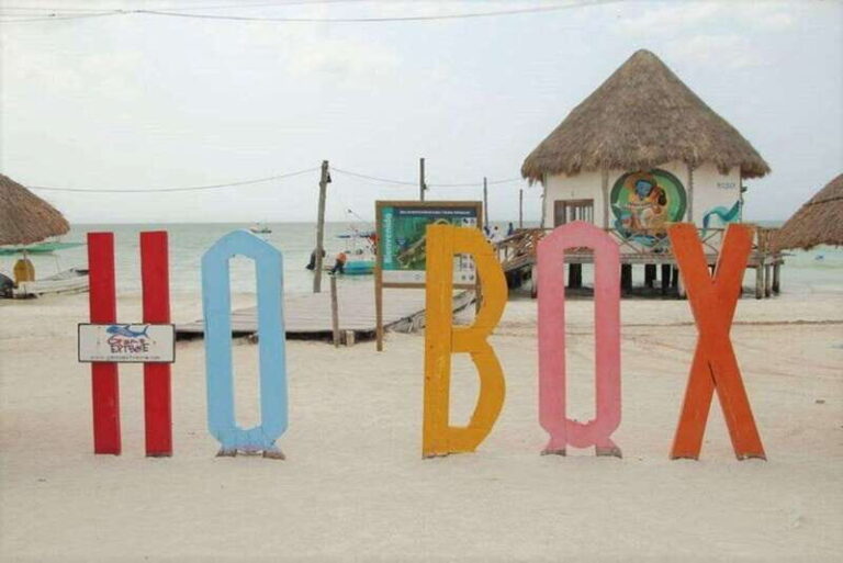 Cancun: Holbox Island Birdwatching and Wildlife Adventure - The Scenic and Tasty Lunch
