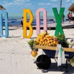 Cancun: Holbox plus Island, Punta Mosquito Trip with Lunch - In-Depth Look at the Itinerary