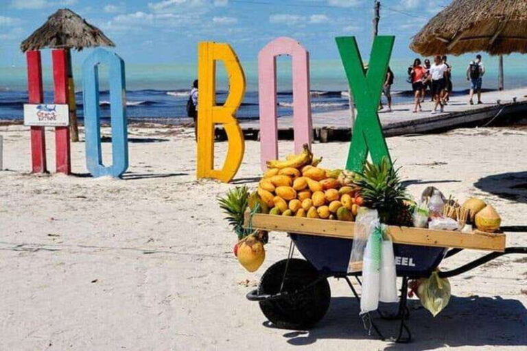 Cancun: Holbox plus Island, Punta Mosquito Trip with Lunch - In-Depth Look at the Itinerary