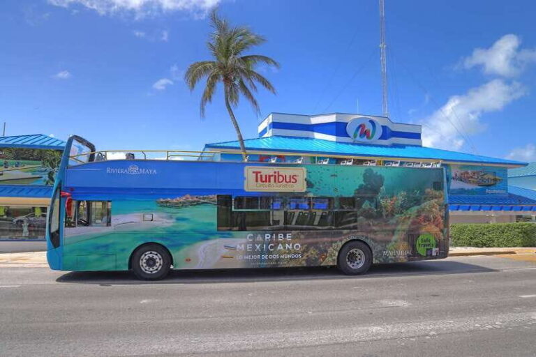 Cancún: Hop-on Hop-off Bus Tour with Submarine Trip - Real Travelers’ Insights