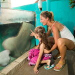 Cancún: Interactive Aquarium Admission - The Value of the Experience