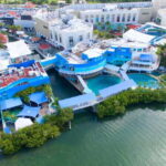 Cancún Interactive Aquarium Admission + Dolphin Presentation - The Dolphin Presentation