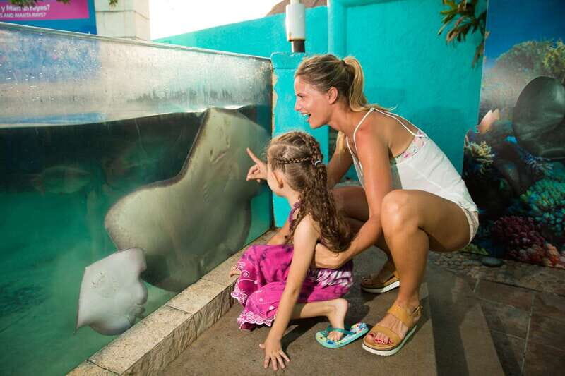 Cancún: Interactive Aquarium Admission - The Value of the Experience