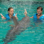 Cancun: Interactive Aquarium - Swim with dolphins Premium - Who Is This Tour Best For?