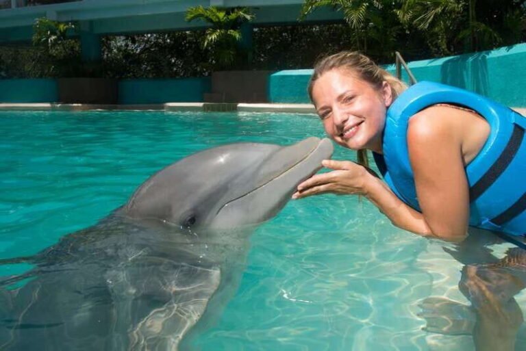 Cancun: Interactive Aquarium - Swim with Dolphins Splash - How the Experience is Structured