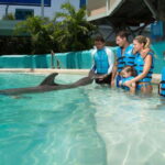 Cancun: Interactive Aquarium Ticket and Swim with Dolphins - A Closer Look at the Experience