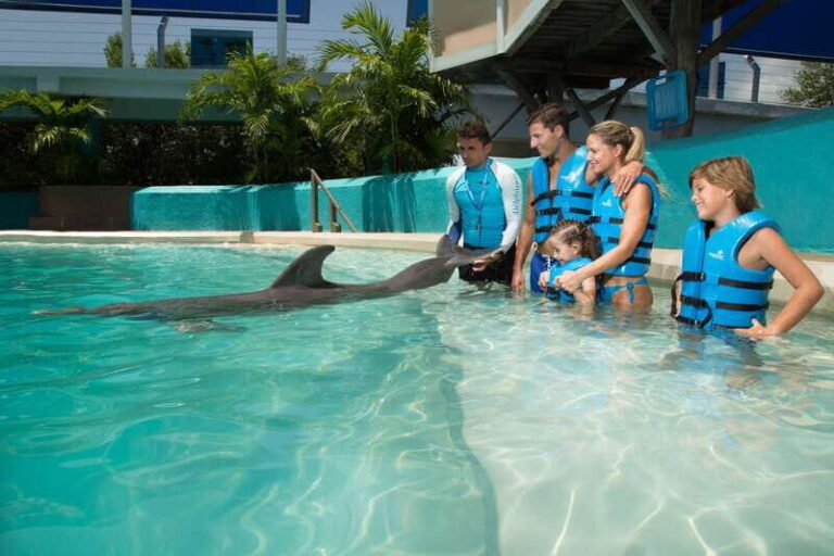 Cancun: Interactive Aquarium Ticket and Swim with Dolphins - A Closer Look at the Experience