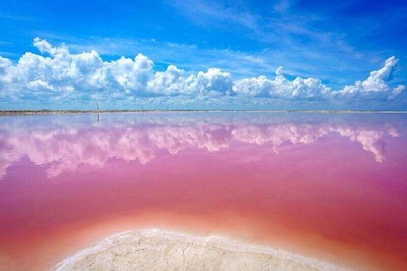 Cancun: Las Coloradas and Río Lagartos Private Tour - What’s the Value Like?