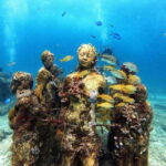 Cancun: Musa Underwater Museum & Reef Discover Scuba Diving - The Real Deal: Pros and Cons