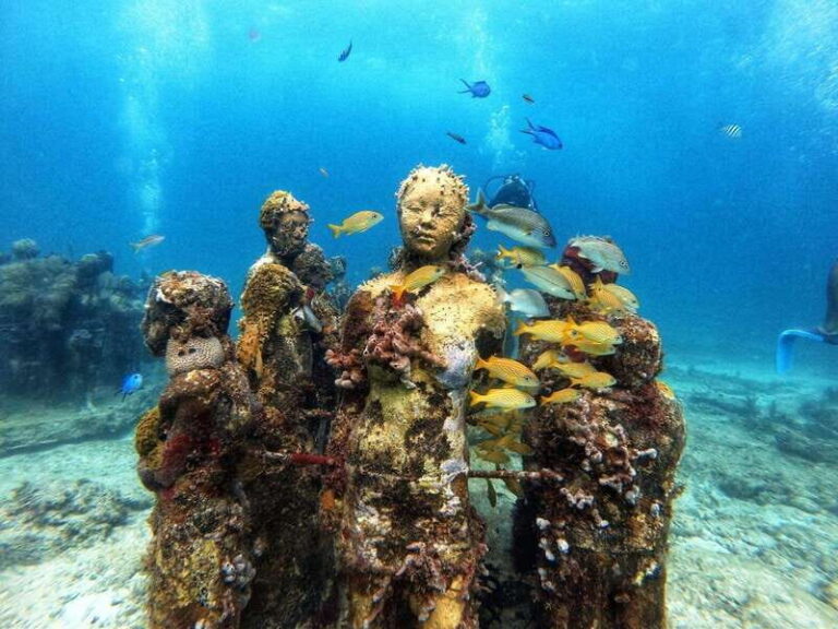 Cancun: Musa Underwater Museum & Reef Discover Scuba Diving - The Real Deal: Pros and Cons
