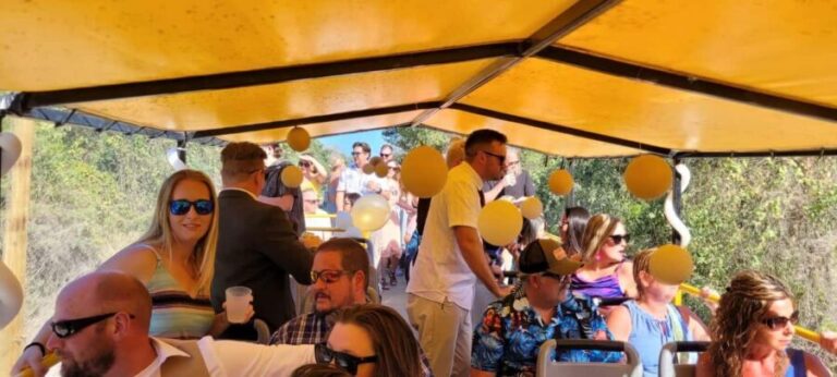 Cancun: Private 3 Hour Party Bus Experience - The Route and What You’ll See