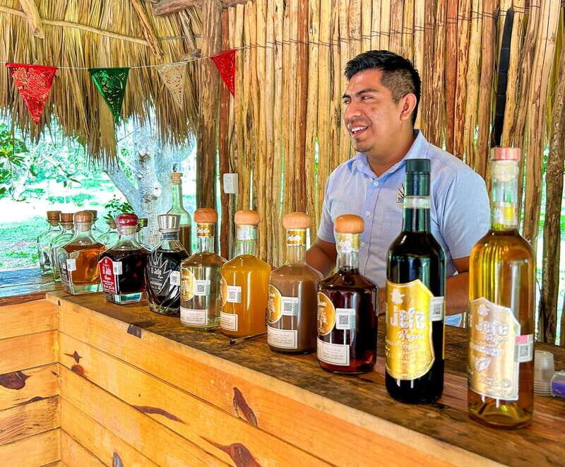 Cancun: Private Chichen Itza Tour, Cenote Swim, & Lunch - Starting Point and Transportation